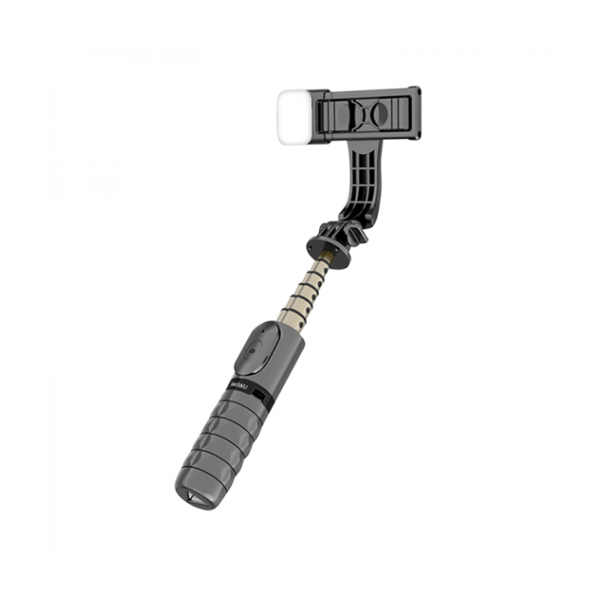 Wiwu WI-SE002 Fill Light Tripod Selfie Stick Black