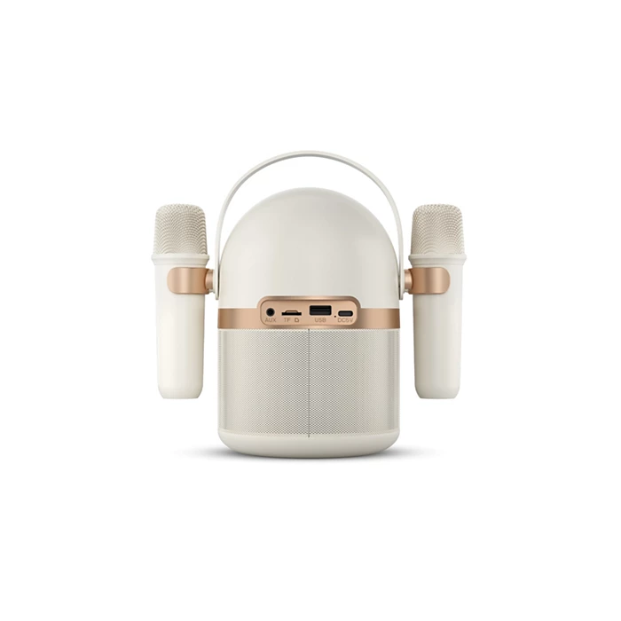 Philips Karaoke Wireless speaker
